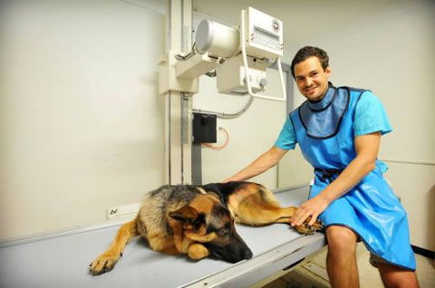 Pacific Vetcare - Vet Melbourne 0