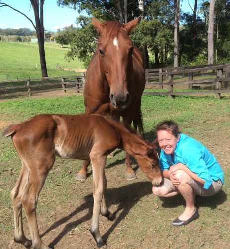 Pacific Vetcare - Vet Melbourne 5