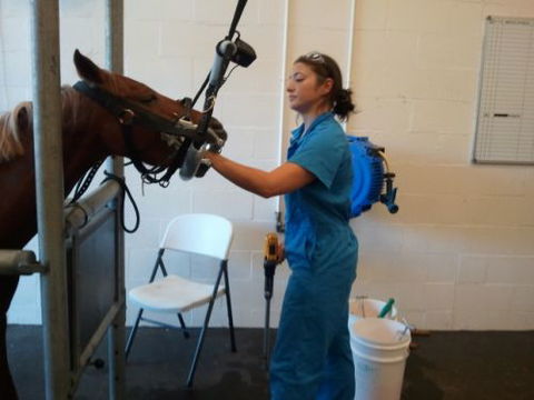 Pacific Vetcare - Vet Melbourne 9