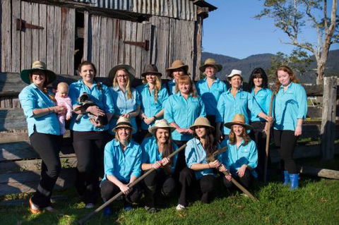 Pacific Vetcare - Vet Melbourne 11