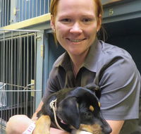 Grafton Veterinary Clinic - Vet Melbourne