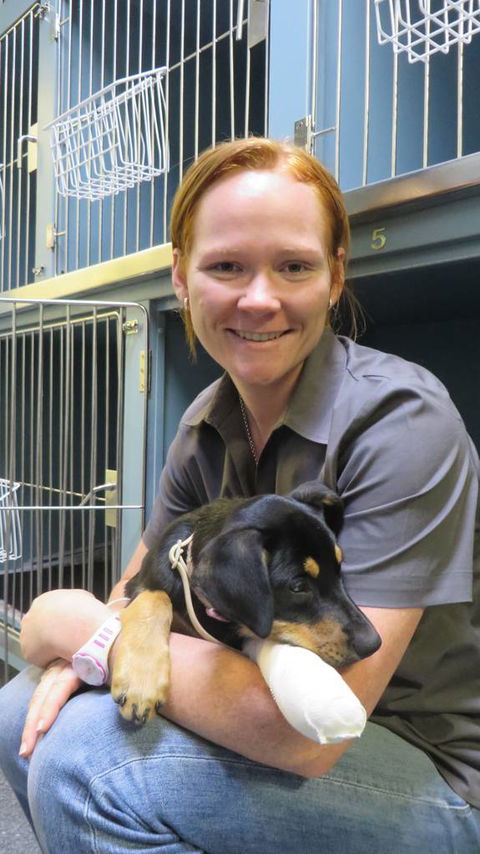 Grafton Veterinary Clinic - Vet Melbourne 0
