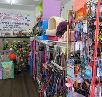 Doggy Days - Vet Melbourne