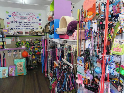 Doggy Days - Vet Melbourne 0