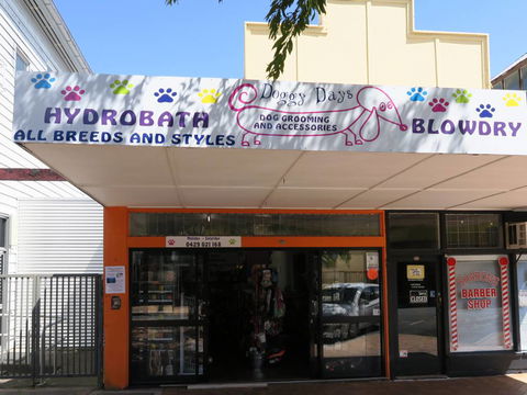 Doggy Days - Vet Melbourne 3