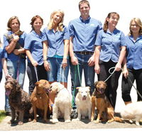 McClure Vicky Dr - Vet Melbourne