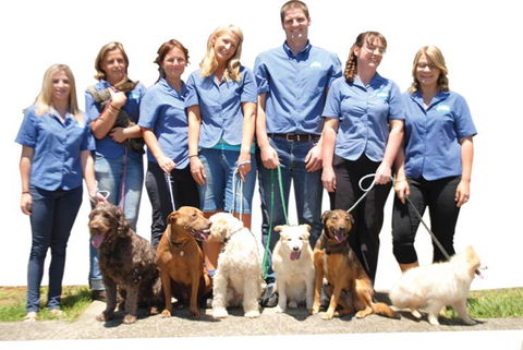 McClure Vicky Dr - Vet Melbourne 0
