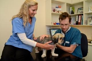 Crouch Joshua Dr - Vet Melbourne 1