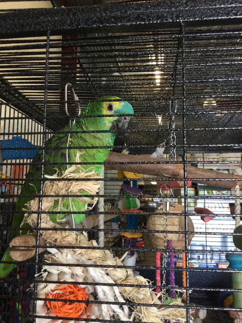 Pets R Us Raymond Terrace - Vet Melbourne 1