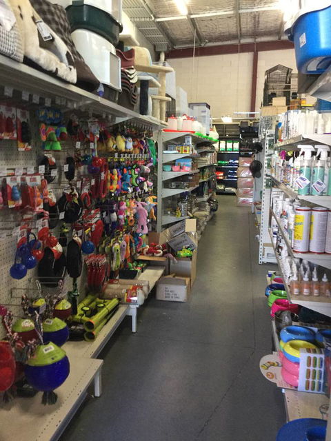 Pets R Us Raymond Terrace - Vet Melbourne 2