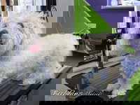 Soapy Pause for Dogs