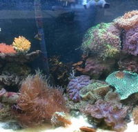 Rocky Pet World - Vet Melbourne