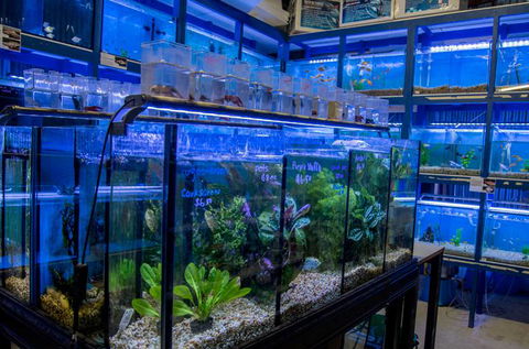 Radley’s Pet & Aquarium - Vet Melbourne 3