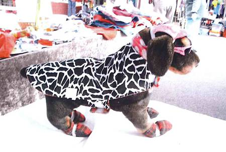 Margarets Dog Coats And Accessories - Vet Melbourne 1