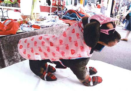 Margarets Dog Coats And Accessories - Vet Melbourne 3
