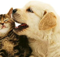 One Stop Pet Supplies - Vet Melbourne